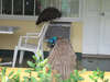 Sandals Montego Bay 